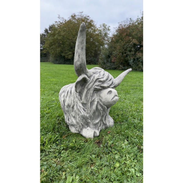 Westhighland Rind Archie